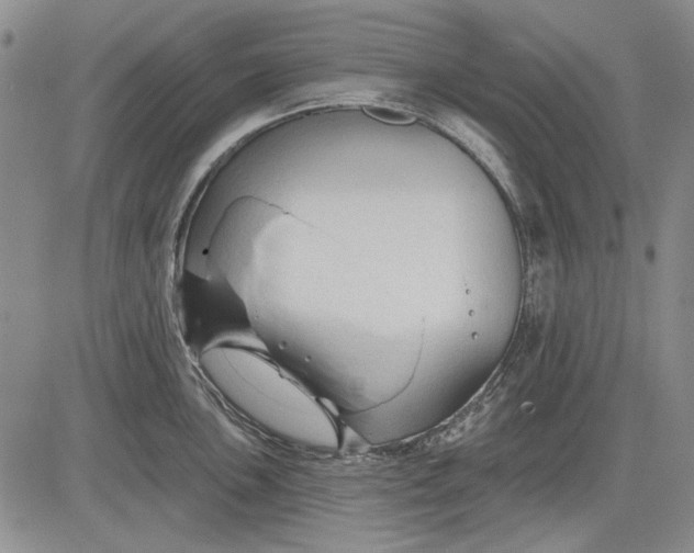 X0000083611051200703051538