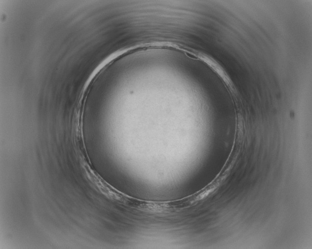 X0000083611052200703051538