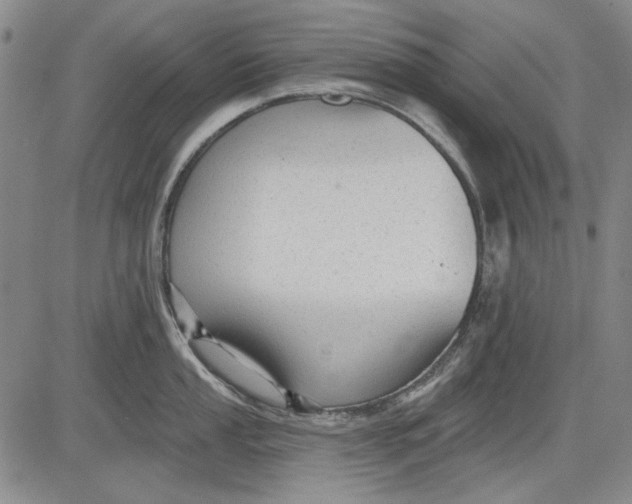 X0000083611053200703051538