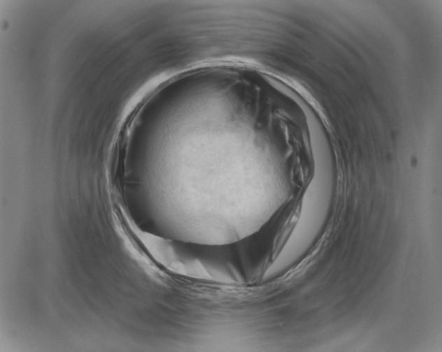 X0000083611054200703051538