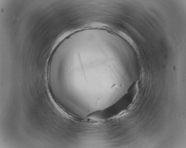 X0000083611055200703051538