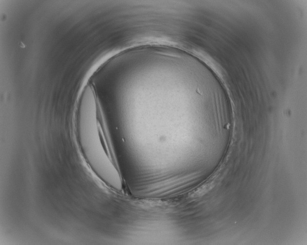 X0000083611056200703051538