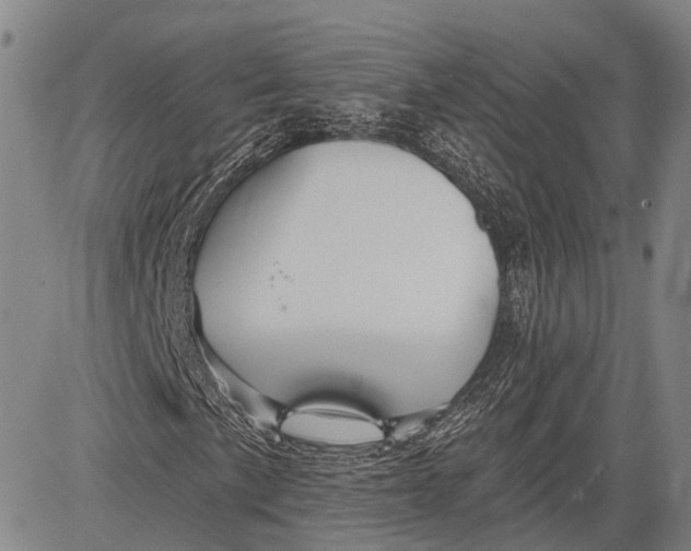 X0000083611057200703051538