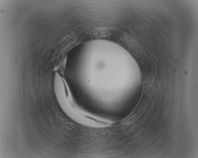 X0000083611058200703051538