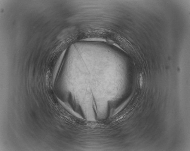 X0000083611059200703051538