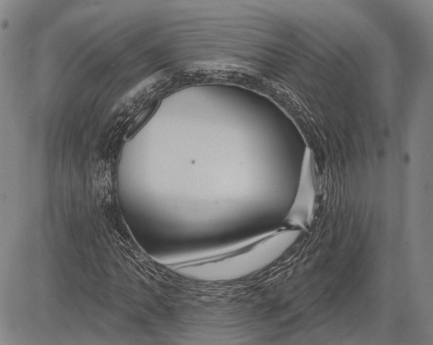 X0000083611062200703051537