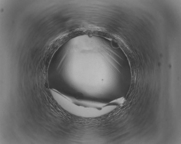 X0000083611063200703051537