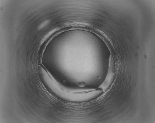 X0000083611066200703051537