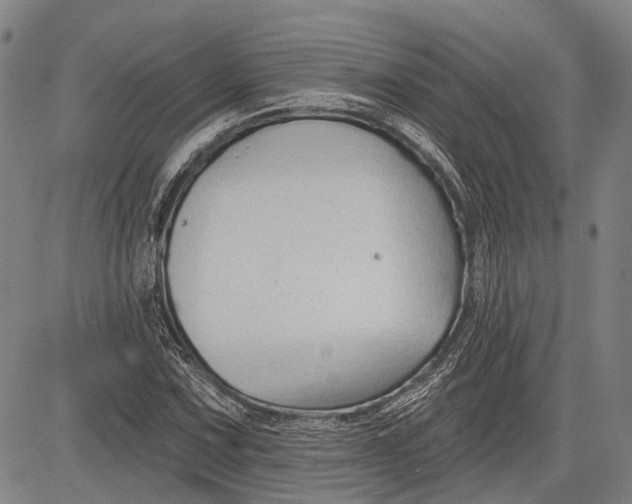 X0000083611067200703051537