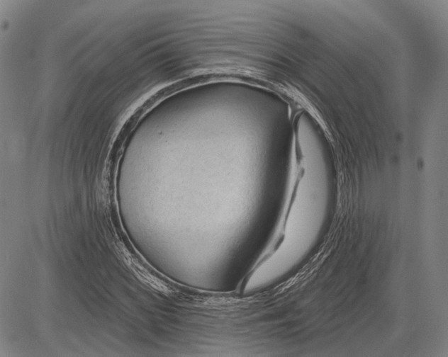 X0000083611068200703051537