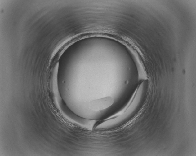 X0000083611069200703051537