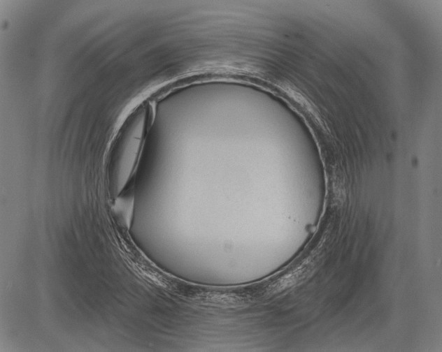 X0000083611070200703051537