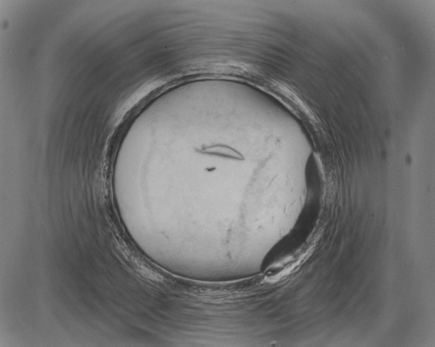 X0000083611071200703051537