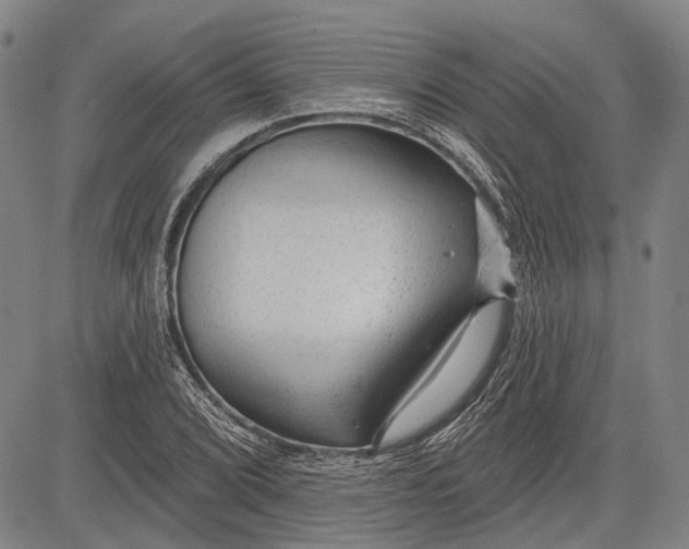 X0000083611072200703051537