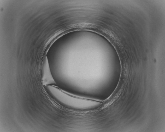 X0000083611073200703051537