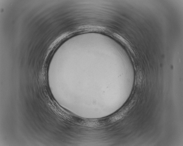 X0000083611074200703051537