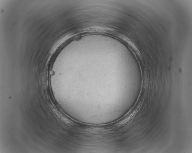 X0000083611075200703051537