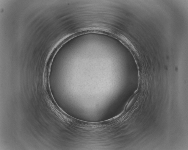 X0000083611076200703051537