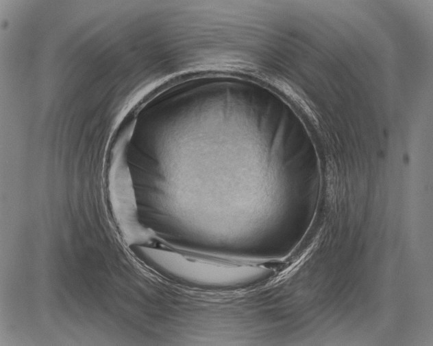 X0000083611077200703051537