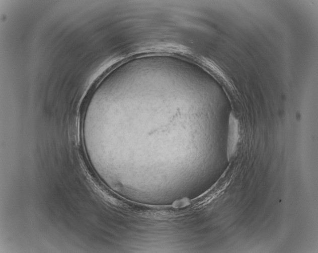 X0000083611079200703051537