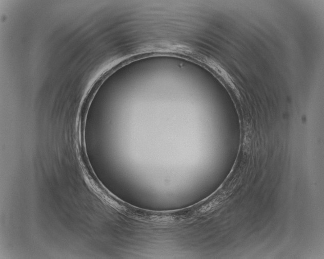 X0000083611080200703051537