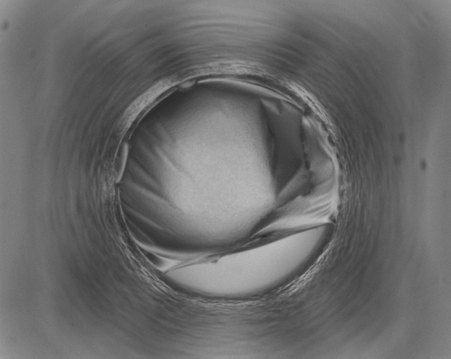 X0000083611081200703051537