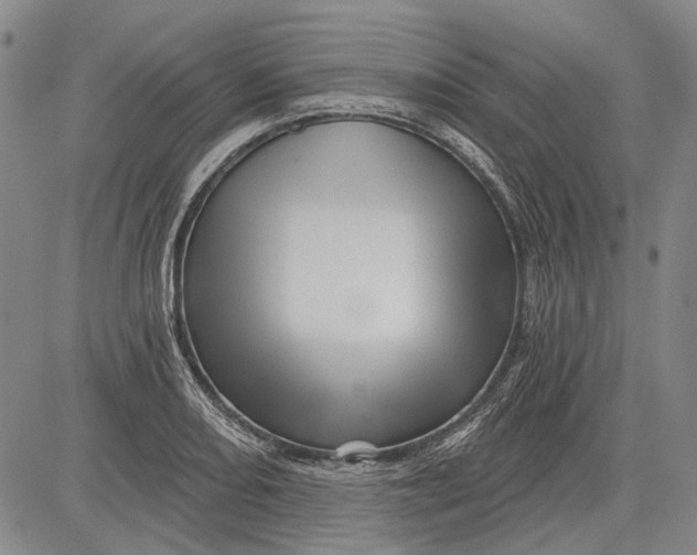 X0000083611082200703051537