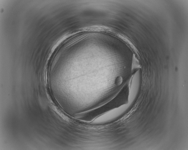 X0000083611083200703051537