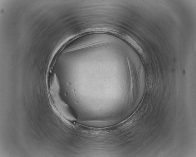 X0000083611084200703051537