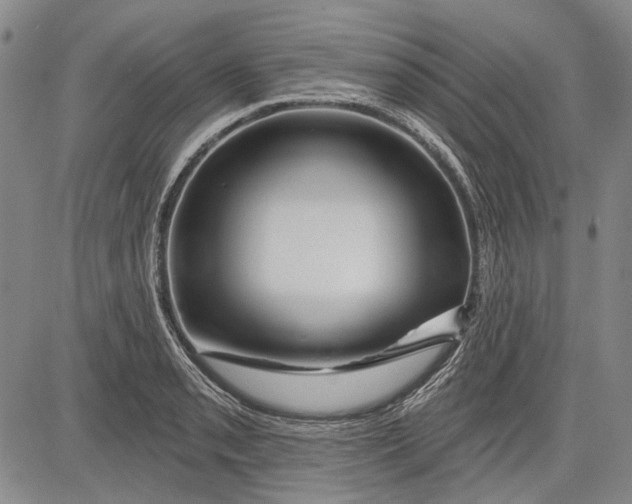 X0000083611085200703051537