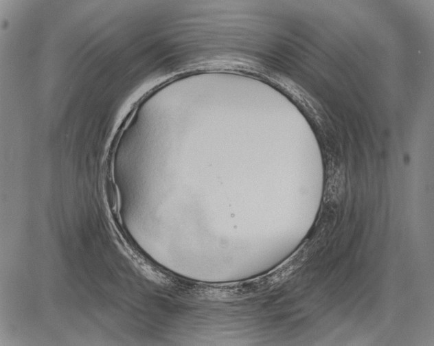 X0000083611086200703051537