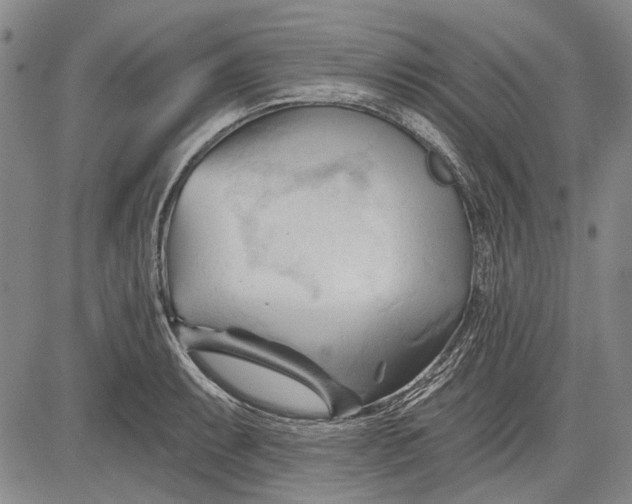 X0000083611087200703051537