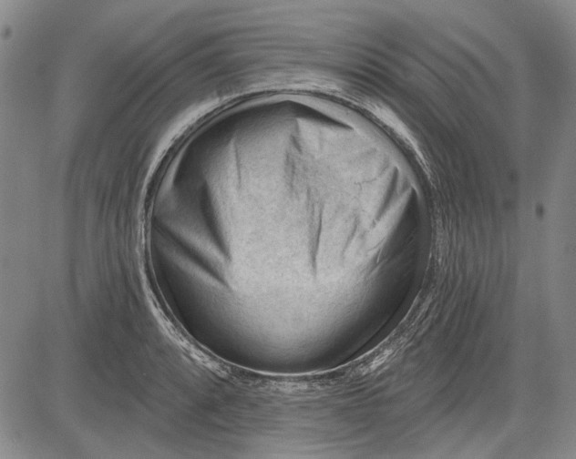 X0000083611088200703051537