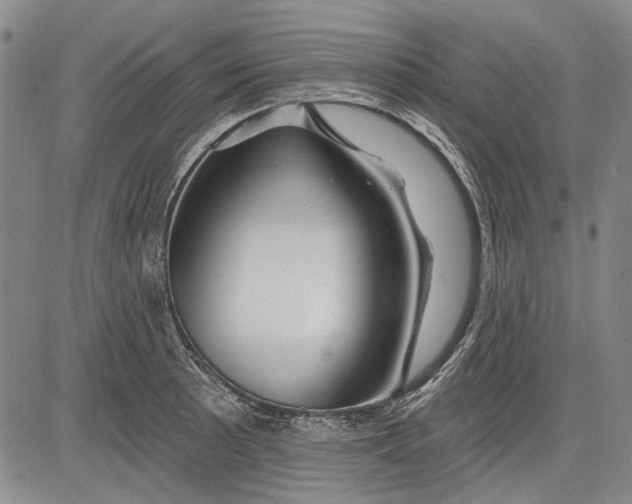 X0000083611089200703051537