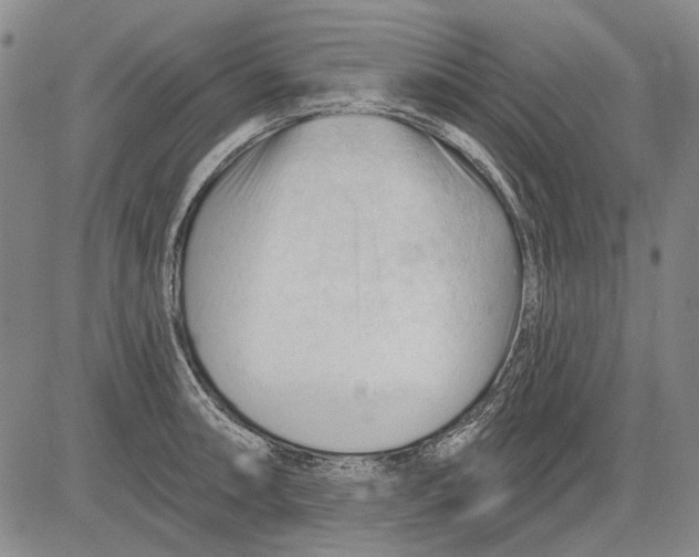 X0000083611090200703051537