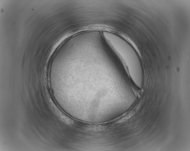 X0000083611091200703051537