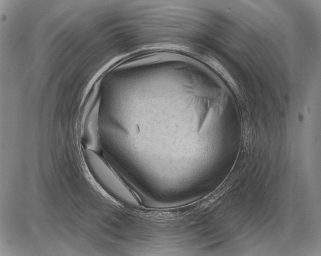 X0000083611092200703051537