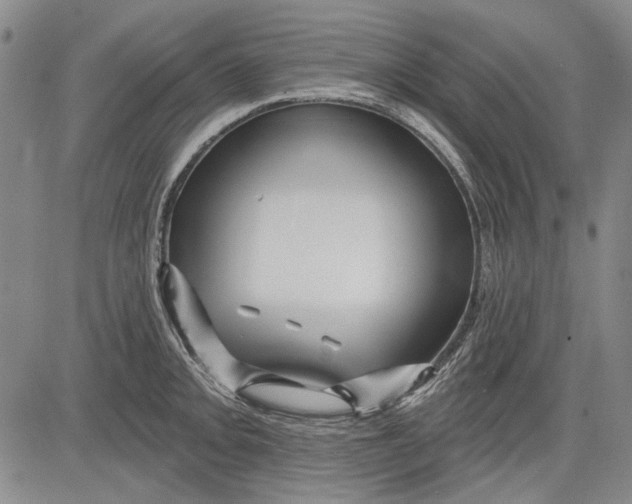 X0000083611093200703051537