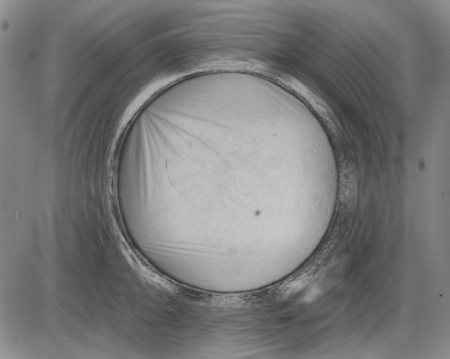 X0000083611094200703051537