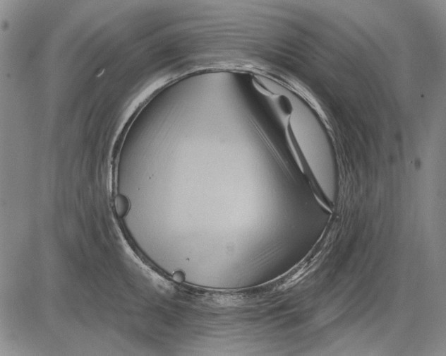 X0000083611095200703051537