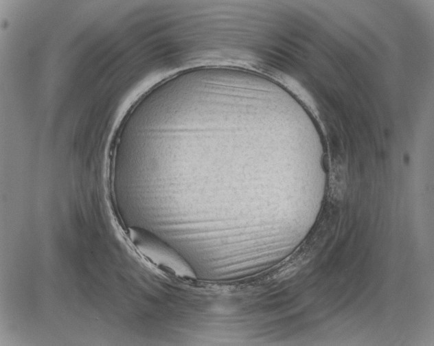 X0000083611096200703051537