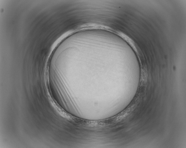 X0000083611098200703051537