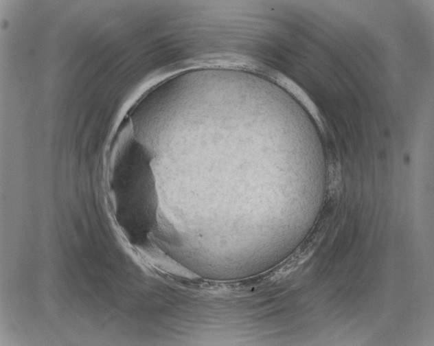 X0000083611099200703051537