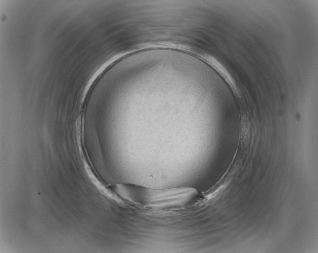 X0000083611100200703051537