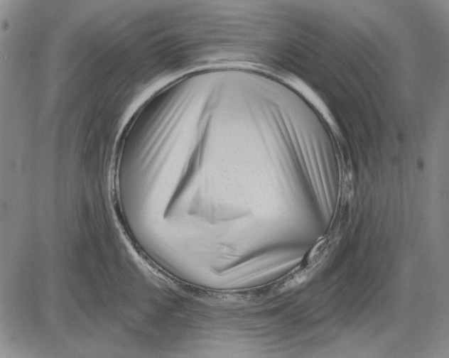 X0000083611101200703051537