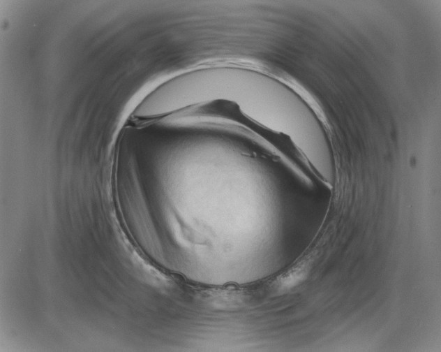 X0000083611102200703051537