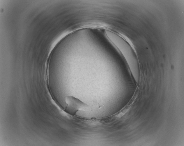 X0000083611103200703051537