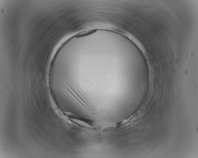 X0000083611104200703051537