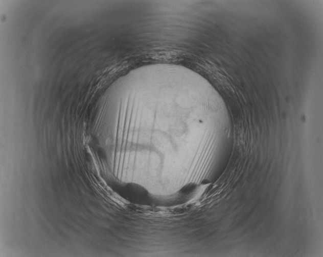 X0000083611106200703051536