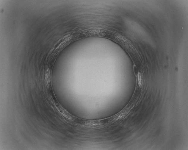 X0000083611107200703051536